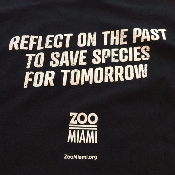 Dinosaurs Live! Miami Zoo graphic tee - Picture 5 of 5